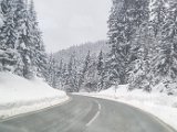 20230128_154441.jpg