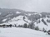 20230128_155105.jpg