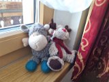 20230129_120105.jpg