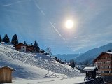 20230129_134526(0).jpg