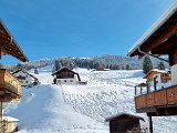 20230129_135548(0).jpg