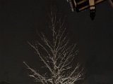 20230202_055951.jpg