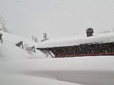 20230202_090213.jpg