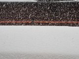 20230202_090551.jpg
