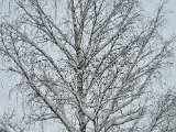 20230202_090624.jpg