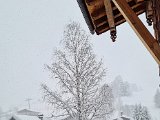 20230202_090634.jpg