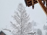 20230202_100303.jpg