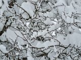 20230202_111857.jpg