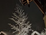 20230202_210933.jpg