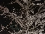 20230203_011942.jpg