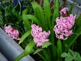 20230325_Klassentreffen_40J