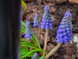 20230324_064249.jpg