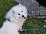 20230520_202958.jpg