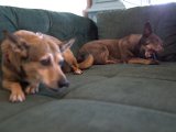 IMG_3760.CR2