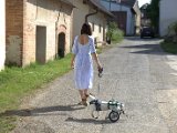 IMG_3821.CR2