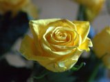 IMG_3927.CR2