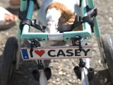 IMG_3808.CR2