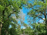 20230625_155918.jpg