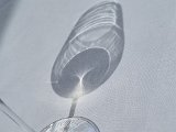 20230629_151745(0).jpg