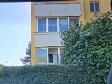 20230629_165821.jpg