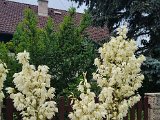 20230701_131519.jpg