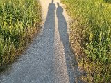 20230702_194921(0).jpg