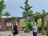20230705_171044.jpg