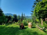 20230709_093214.jpg