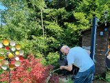 20230709_094707.jpg