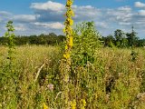 20230720_181231.jpg