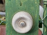 20230720_183244.jpg
