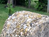 20230720_183253(0).jpg