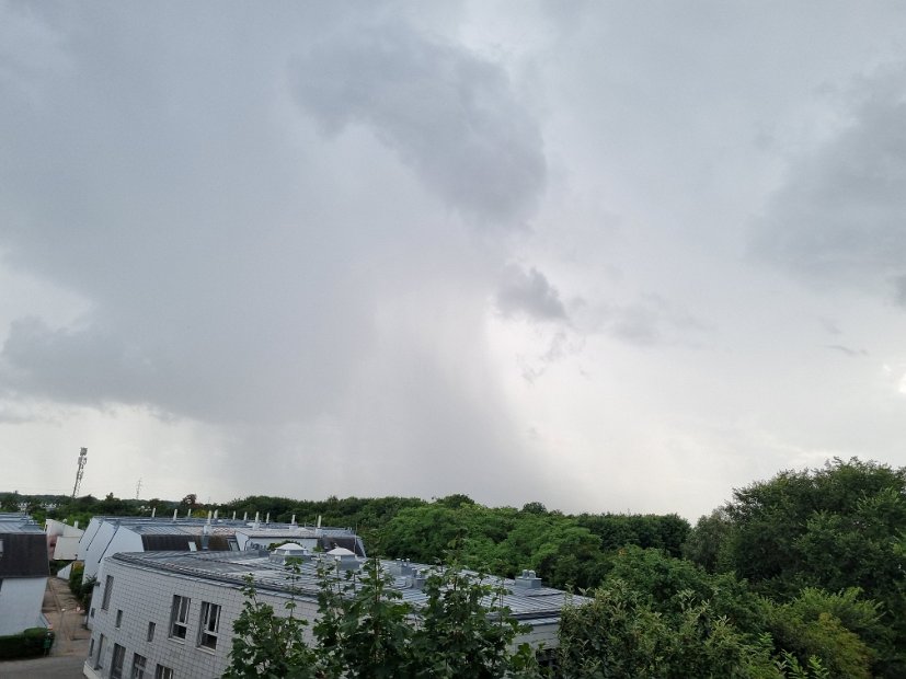 20230730_170400(0)