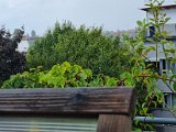 20230730_130811.jpg