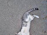 20230730_150214.jpg