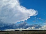 20230730_162609.jpg