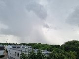 20230730_170400(0).jpg