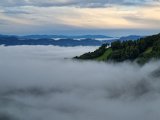 20230810_063553.jpg