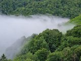 20230810_063611.jpg
