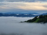 20230810_063627.jpg