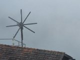 20230810_065857.jpg