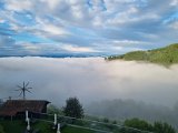 20230810_065911.jpg