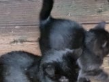 20231031_154103.jpg