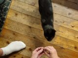 20231031_154552.jpg