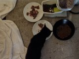 20231031_154734.jpg
