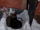 20231101_095143.jpg