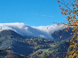 20231101_095318.jpg