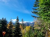 20231101_095402.jpg