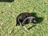 20231101_112027.jpg