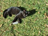 20231101_112030.jpg